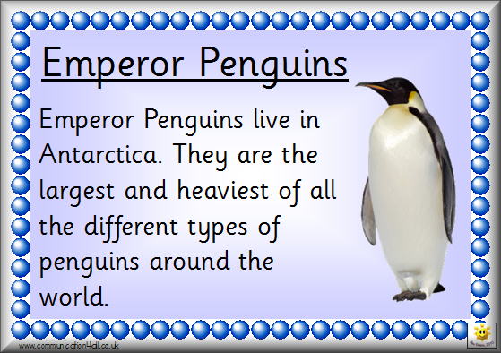 Homework help with emperor penguin